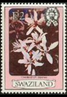 Swaziland 1980 - serie Fiori: 2 E