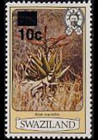 Swaziland 1980 - serie Fiori: 10 c su 4 c