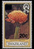 Swaziland 1980 - serie Fiori: 20 c su 3 c