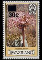 Swaziland 1980 - serie Fiori: 30 c su 1 c