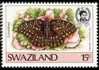 Swaziland 1987 - serie Farfalle: 15 c