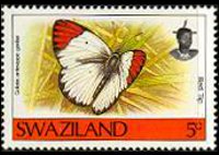 Swaziland 1992 - serie Farfalle: 5 c