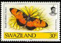 Swaziland 1992 - serie Farfalle: 30 c