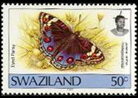 Swaziland 1992 - serie Farfalle: 50 c