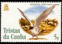 Tristan da Cunha 2005 - serie Uccelli: 5 p