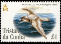 Tristan da Cunha 2005 - serie Uccelli: 1 £