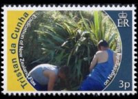 Tristan da Cunha 2010 - serie Salvaguardia delle isole: 3 p