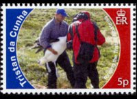 Tristan da Cunha 2010 - serie Salvaguardia delle isole: 5 p