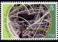 Tristan da Cunha 2010 - set Conservation: 10 p