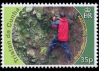 Tristan da Cunha 2010 - serie Salvaguardia delle isole: 35 p