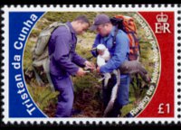 Tristan da Cunha 2010 - set Conservation: 1 $