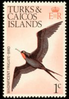 Turks e Caicos 1973 - serie Uccelli: 1 c