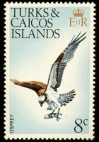 Turks e Caicos 1973 - serie Uccelli: 8 c