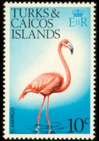 Turks e Caicos 1973 - serie Uccelli: 10 c