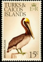 Turks e Caicos 1973 - serie Uccelli: 15 c