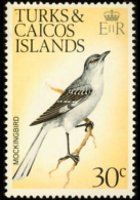 Turks e Caicos 1973 - serie Uccelli: 30 c