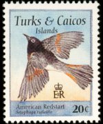 Turks e Caicos 1995 - serie Uccelli: 20 c