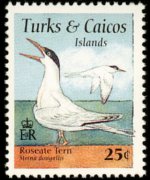 Turks e Caicos 1995 - serie Uccelli: 25 c