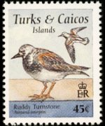 Turks e Caicos 1995 - serie Uccelli: 45 c