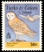 Turks e Caicos 1995 - serie Uccelli: 50 c