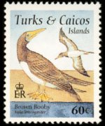 Turks e Caicos 1995 - serie Uccelli: 60 c