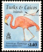 Turks e Caicos 1995 - serie Uccelli: 1,40 $