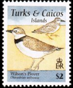 Turks e Caicos 1995 - serie Uccelli: 2 $