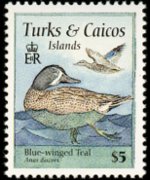 Turks e Caicos 1995 - serie Uccelli: 5 $