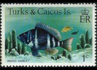 Turks e Caicos 1978 - serie Pesci: 1 c