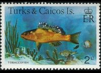Turks e Caicos 1978 - serie Pesci: 2 c