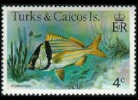 Turks e Caicos 1978 - serie Pesci: 4 c