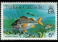 Turks e Caicos 1978 - serie Pesci: 5 c