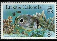 Turks e Caicos 1978 - serie Pesci: 8 c