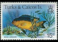 Turks e Caicos 1978 - serie Pesci: 15 c