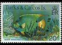 Turks e Caicos 1978 - serie Pesci: 20 c