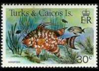 Turks e Caicos 1978 - serie Pesci: 30 c