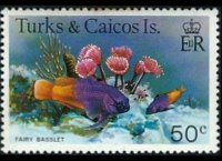 Turks e Caicos 1978 - serie Pesci: 50 c