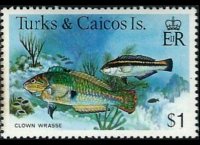 Turks e Caicos 1978 - serie Pesci: 1 $