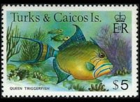 Turks e Caicos 1978 - serie Pesci: 5 $