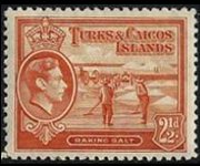 Turks e Caicos 1938 - serie Re Giorgio VI e soggetti vari: 2½ p