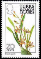 Turks and Caicos Islands 1990 - set Flowers: 20 c