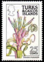 Turks e Caicos 1990 - serie Fiori: 25 c