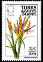 Turks and Caicos Islands 1990 - set Flowers: 35 c