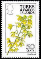 Turks e Caicos 1990 - serie Fiori: 50 c