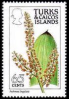 Turks e Caicos 1990 - serie Fiori: 65 c