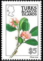 Turks e Caicos 1990 - serie Fiori: 5 $