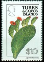 Turks e Caicos 1990 - serie Fiori: 10 $