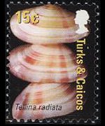 Turks e Caicos 2007 - serie Conchiglie: 15 c