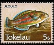 Tokelau 1984 - serie Pesci: 5 s