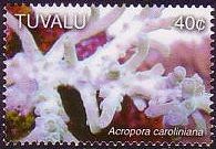 Tuvalu 2006 - set Corals: 40 c